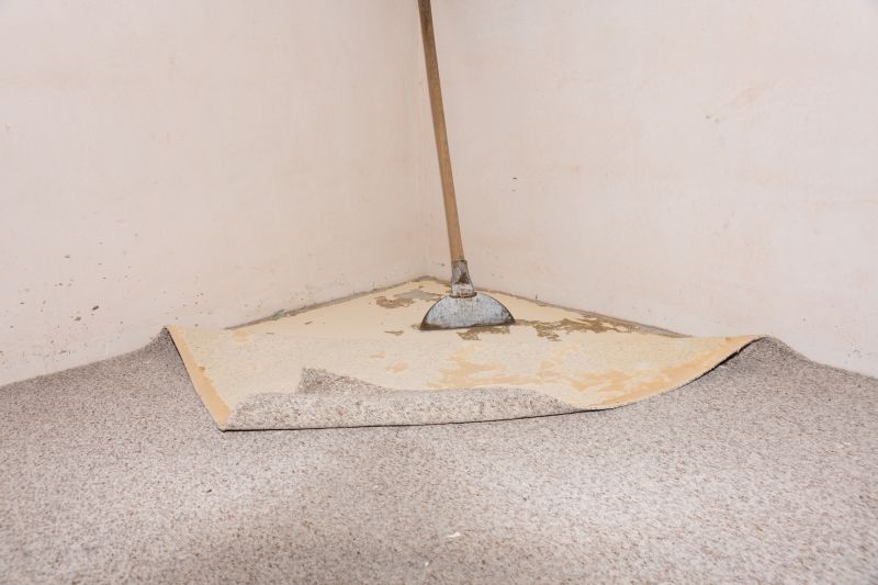 Basement Carpet Repair in Alpharetta, GA